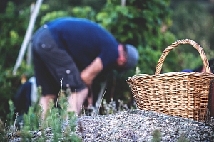 Photo Domaines-Viticoles Domaine Jasmin