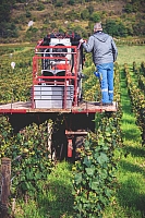 Photo Domaines-Viticoles Domaine Miolane