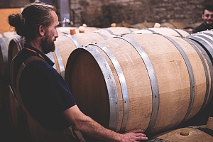 Photo Domaines-Viticoles Domaine Guy Bocard