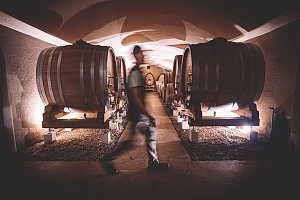 Photo Domaines-Viticoles Domaine Benjamin Leroux