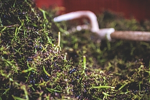 Photo Domaines-Viticoles Domaine Benjamin Leroux