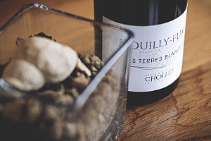 Photo Domaines-Viticoles Domaine Chollet - n°13987