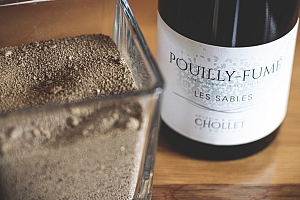 Photo Domaines-Viticoles Domaine Chollet - n°13988