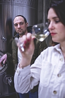 Photo Domaines-Viticoles Domaine Chollet - n°13997