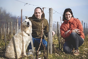 Photo Domaines-Viticoles Domaine Chollet - n°14010