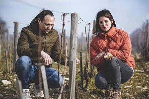 Photo Domaines-Viticoles Domaine Chollet - n°14011