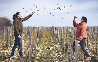Photo Domaines-Viticoles Domaine Chollet - n°14019