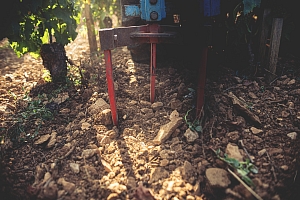 Photo Domaines-Viticoles Domaine Buisson-Charles  - n°15439