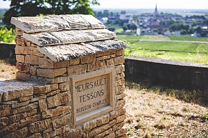 Photo Domaines-Viticoles Domaine Buisson-Charles  - n°15440