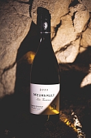 Photo Domaines-Viticoles Domaine Buisson-Charles  - n°15443