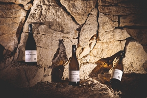 Photo Domaines-Viticoles Domaine Buisson-Charles  - n°15444