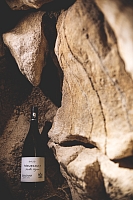Photo Domaines-Viticoles Domaine Buisson-Charles  - n°15445