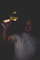 Photo Domaines-Viticoles Domaine Buisson-Charles  - n°15455