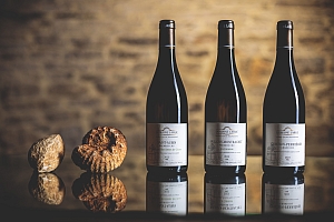 Photo Domaines-Viticoles Domaine Larue  - n°15466