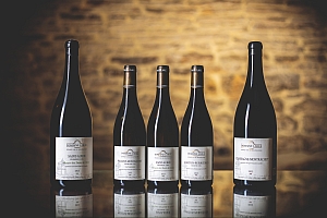 Photo Domaines-Viticoles Domaine Larue  - n°15469