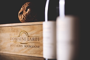 Photo Domaines-Viticoles Domaine Larue  - n°15470