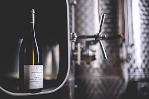 Photo Domaines-Viticoles Domaine Larue  - n°15472