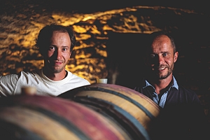 Photo Domaines-Viticoles Domaine Larue  - n°15474