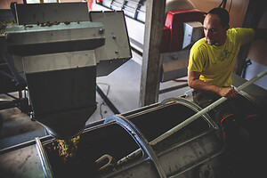 Photo Domaines-Viticoles Domaine Chollet  - n°17115