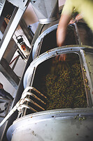 Photo Domaines-Viticoles Domaine Chollet  - n°17118