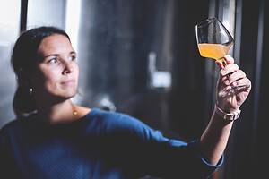 Photo Domaines-Viticoles Domaine Chollet  - n°17137