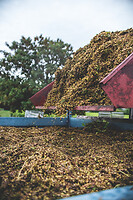 Photo Domaines-Viticoles Domaine Chollet  - n°17149