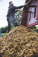 Photo Domaines-Viticoles Domaine Chollet  - n°17150