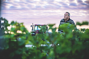 Photo Domaines-Viticoles Domaine Chollet  - n°17159