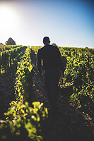 Photo Domaines-Viticoles Domaine Chollet  - n°17193