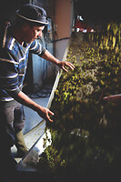 Photo Domaines-Viticoles Domaine Chollet  - n°17201