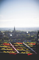 Photo Domaines-Viticoles Domaine Buisson-Charles  - n°17599