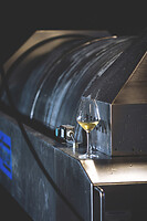 Photo Domaines-Viticoles Domaine Buisson-Charles  - n°17605