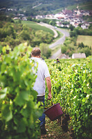 Photo Domaines-Viticoles Domaine Larue  - n°17626