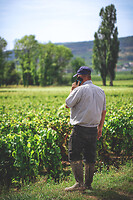 Photo Domaines-Viticoles Domaine Larue  - n°17635