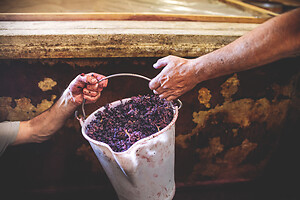 Photo Domaines-Viticoles Domaine Larue  - n°17662