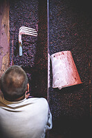 Photo Domaines-Viticoles Domaine Larue  - n°17663
