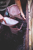 Photo Domaines-Viticoles Domaine Larue  - n°17664