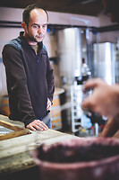 Photo Domaines-Viticoles Domaine Larue  - n°17665