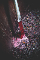 Photo Domaines-Viticoles Domaine Larue  - n°17673