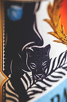 Photo Reportages Cocktails - Rhums - Compagnie des Indes  - n°18019