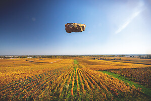 Photo Vigne Vigne - Automne  - n°18656