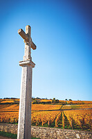 Photo Vigne Vigne - Automne  - n°18662