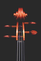 Photo Studio Lutherie Luciani  - n°18699