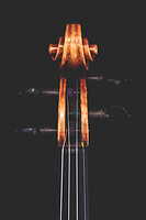 Photo Studio Lutherie Luciani  - n°18702