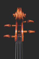 Photo Studio Lutherie Luciani  - n°18706