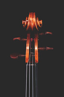 Photo Studio Lutherie Luciani  - n°18710