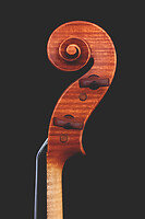 Photo Studio Lutherie Luciani  - n°18716