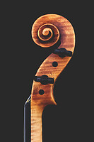 Photo Studio Lutherie Luciani  - n°18717