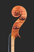 Photo Studio Lutherie Luciani  - n°18718