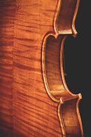 Photo Studio Lutherie Luciani  - n°18719